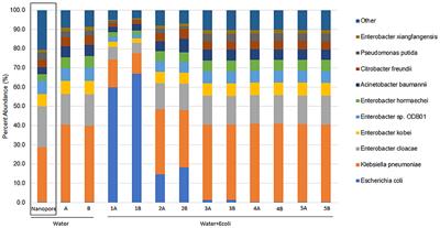 Precision metagenomics sequencing for food safety: hybrid assembly of Shiga toxin-producing Escherichia coli in enriched agricultural water
